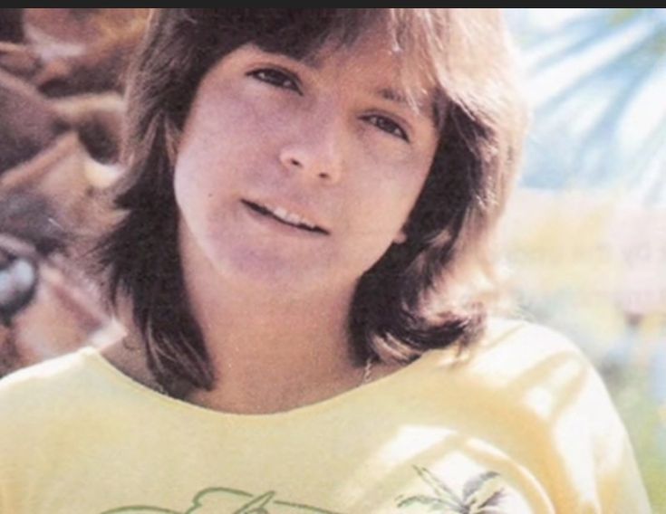David Cassidy I Am A Clown
