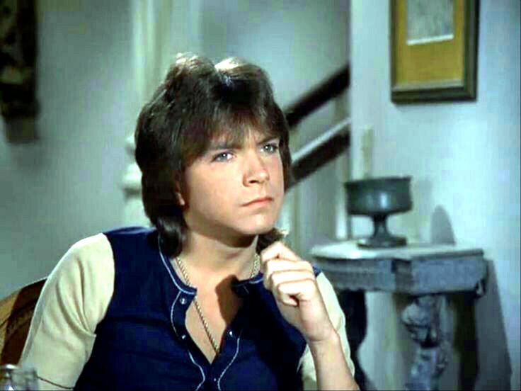 David Cassidy Doesn't Somebody Want To Be Wanted