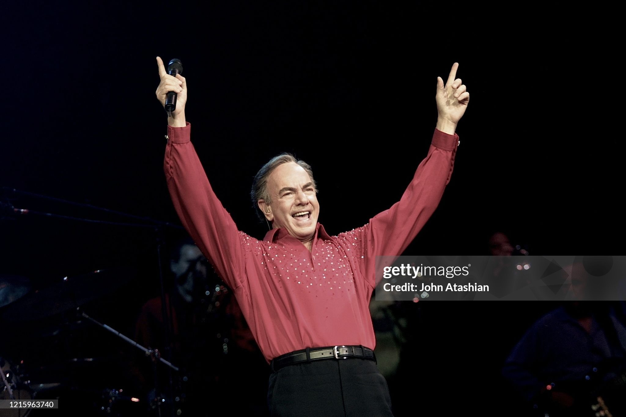 Neil Diamond The Art Of Love