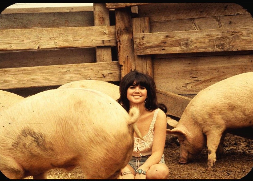 Linda Ronstadt - I Love You For Sentimental Reasons 1986 | 'Round Midnight With Nelson Riddle And His Orchestra