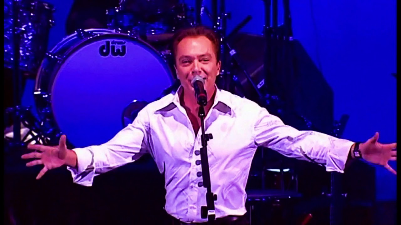 "Love, Love the Lady," co-written with Gerry Beckley for the 1976 album Gettin' It in the Street