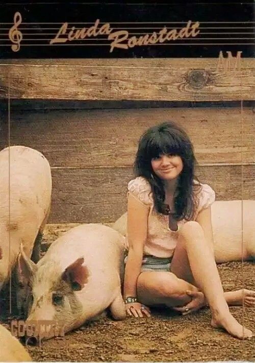 Linda Ronstadt - Be My Baby 1996 | Dedicated to the One I Love lullaby-era reinterpretation