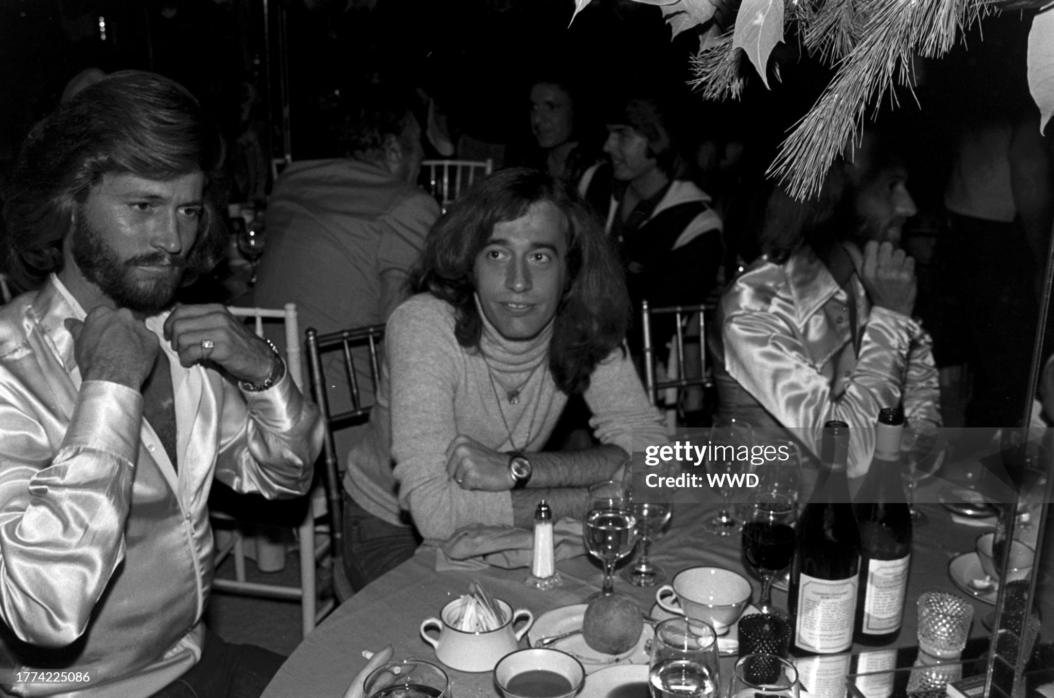 Bee Gees "Don't Fall in Love with Me" from the 1981 Living Eyes album, a melancholy ballad that gave Robin Gibb a gorgeous lead vocal moment during a commercial crossroads for the band
