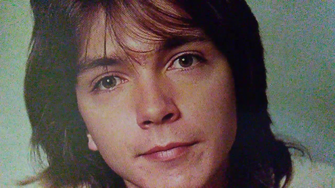 David Cassidy's "(Whatever Happened To) Peace, Love & Happiness" from his 1998 independent release Old Trick New Dog